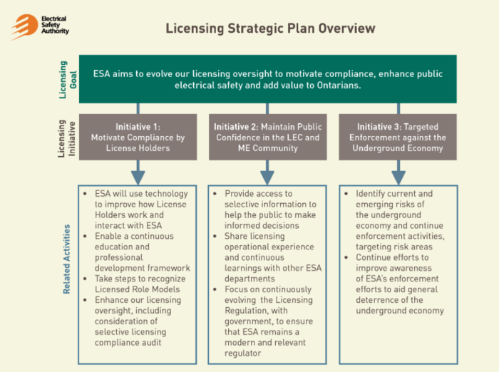 Licensing Plan Strategic Overview