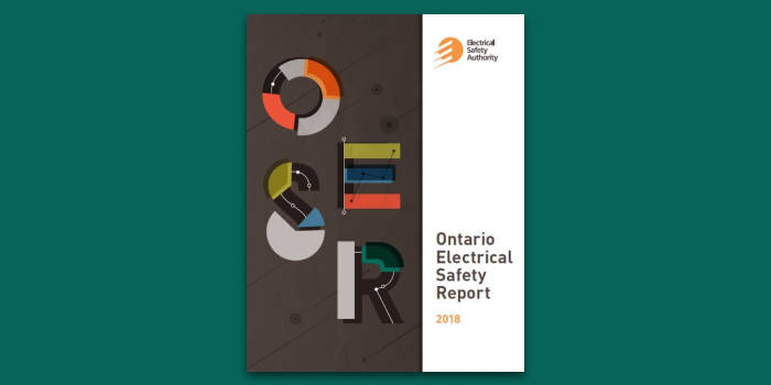 safety report publication