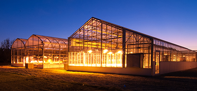 lighted greenhouse at dusk