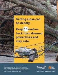poster - keep 10 metres back