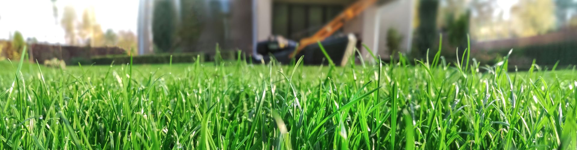 grass with a lawnmower in background