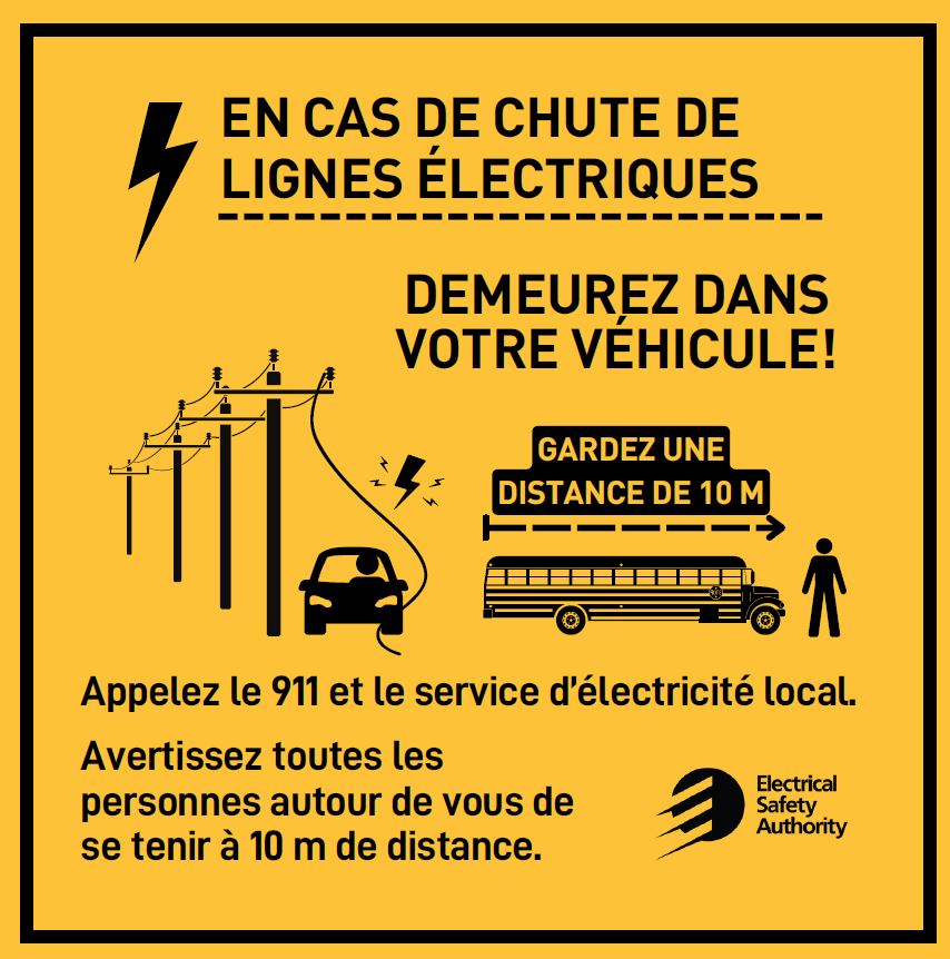 downed powerlines stay in your vehicle french